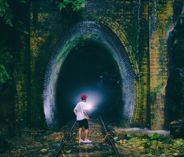 Where is Amandalaviinia? Exploring the Mystery Behind the Name